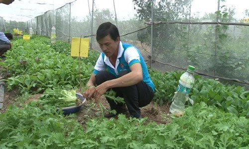 An Giang: Cùng sở thích chăn nuôi, trồng trọt cùng vào Hội quán