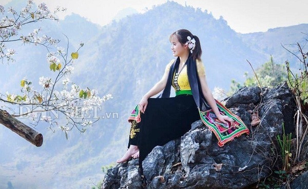 anh: moi thang 2, hoa ban da no trang tinh khoi nui rung tay bac hinh anh 1