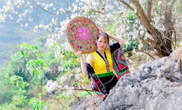 anh: moi thang 2, hoa ban da no trang tinh khoi nui rung tay bac hinh anh 5