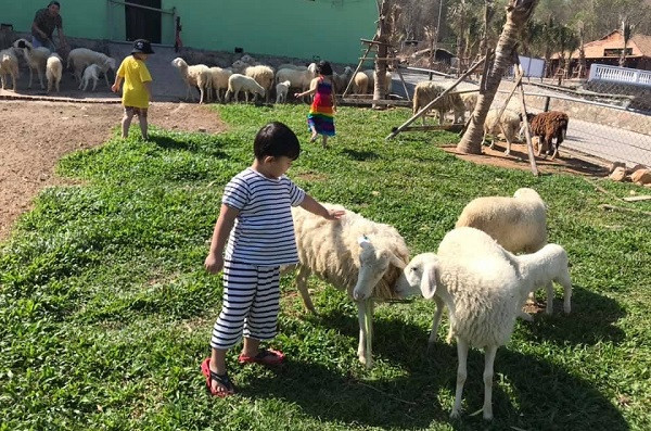 ba ria - vung tau tim loi di cho nganh du lich giua mua dich covid-19 hinh anh 3