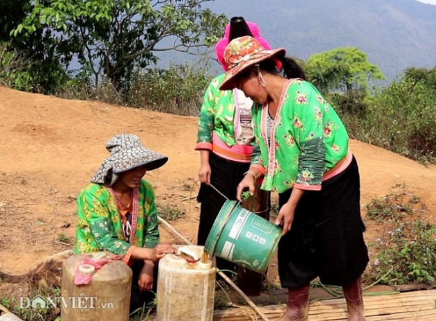 Bản Pú Chứn đã nghèo càng thêm "héo" vì nắng nóng kéo dài