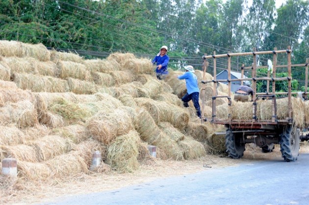 ban thu nhieu noi bo di, dot bo, nha nong mien tay thu tien trieu hinh anh 2