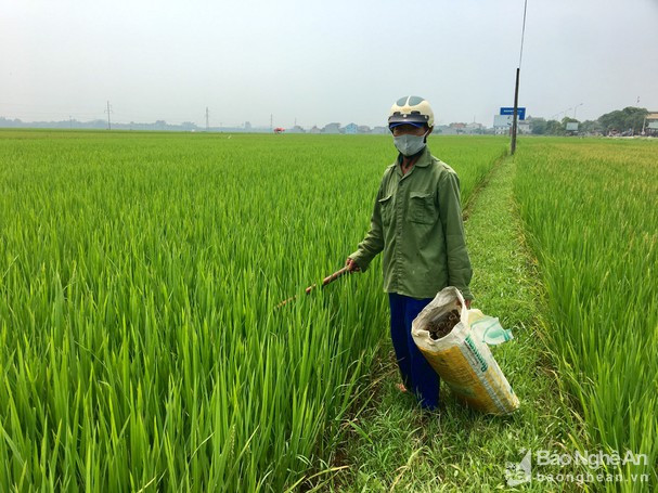 bay bat duoc bao nhieu la luon dong tuoi roi nho bi quyet nay hinh anh 4