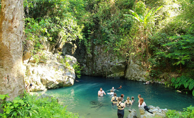 bi an "ho sut quai vat" o phong nha-ke bang hinh anh 2