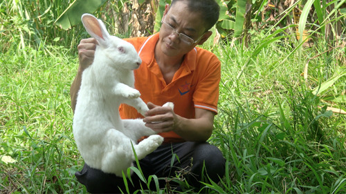 bi quyet lam giau tu nuoi tho nhap ngoai new zealand hinh anh 2