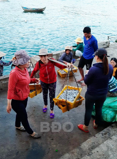 binh dinh: bao nhieu la ca tuoi ngon, 1 dem ra bien thu 10-30 trieu hinh anh 4