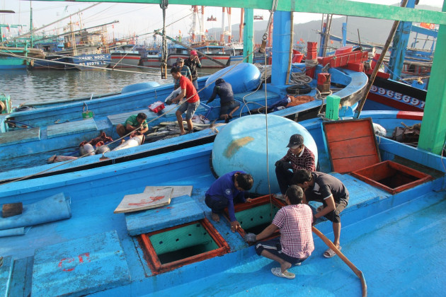 binh dinh: bat ngo gia ca ngu dai duong chi con 100.000 dong/kg hinh anh 3