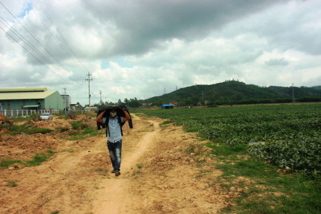 binh dinh: gan 10 nam cum cong nghiep moi duoc 1 doanh nghiep, 40ha dat “de trong”! hinh anh 5