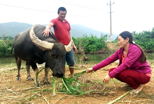 binh dinh: hoa giai ngay tai co so, xom lang binh yen hinh anh 1