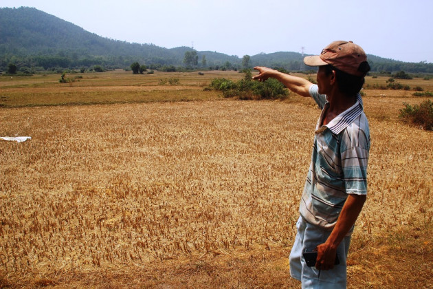 binh dinh: ruong kho, dong chay, lua thi con gai tac dong vi han han hinh anh 10