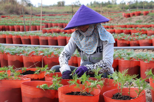 binh thanh doi thay tu cac to hoi nghe nghiep hinh anh 1