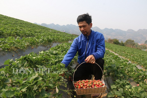 bo luong 8 trieu ve trong dau tay, "soai ca" nha nguoi ta lai nua ty hinh anh 2