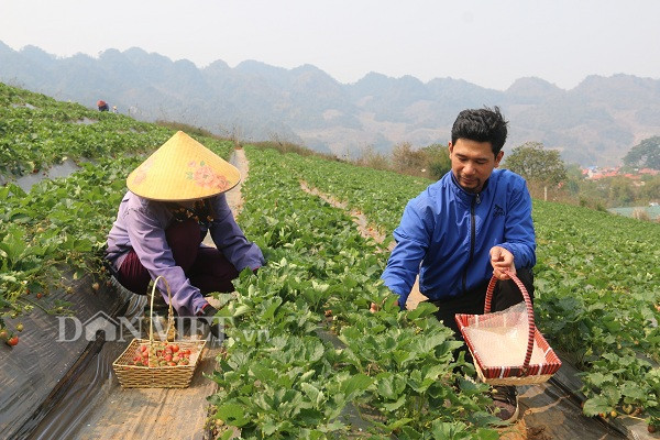 bo luong 8 trieu ve trong dau tay, "soai ca" nha nguoi ta lai nua ty hinh anh 6