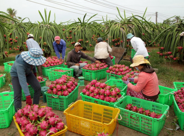 bo nnptnt de nghi trung quoc tao thuan loi cho xuat khau nong san hinh anh 1