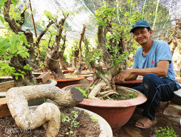 Bộ sưu tập bonsai hoa giấy hình thù độc lạ, hiếm thấy ở miền Tây