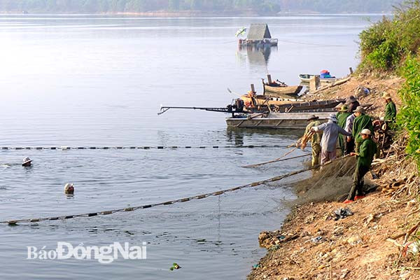 bua vay, giang luoi bat luong ca ngon hang tan o ho song may hinh anh 2
