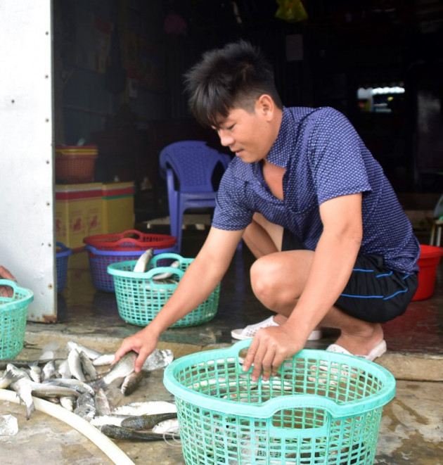 ca mau: chenh venh cua bien voi nghe dang bat loai ca doi ngon hinh anh 3