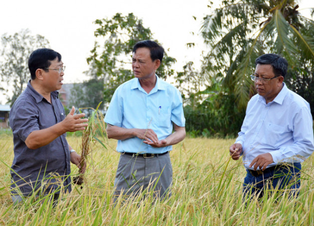 ca mau de xuat trinh chinh phu xem xet ho tro 193 ty chong han hinh anh 1