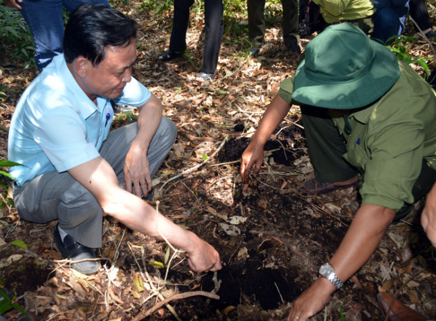 ca mau de xuat trinh chinh phu xem xet ho tro 193 ty chong han hinh anh 4