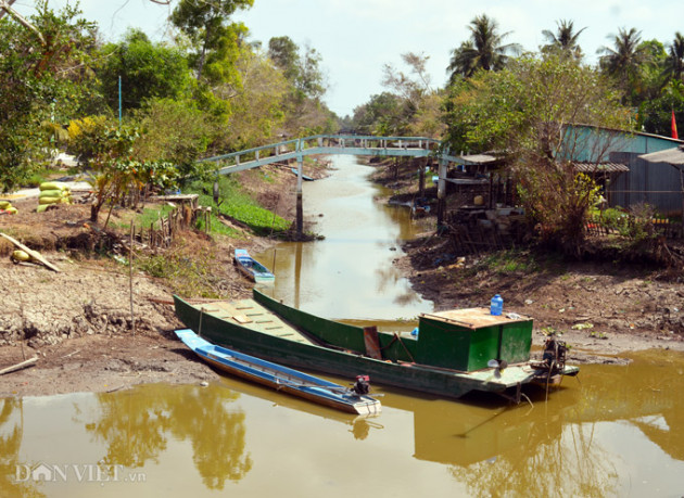 ca mau: kenh nut ne phai thue xe may cho lua di ban, dan meo mat hinh anh 3