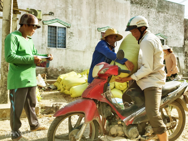 ca mau: kenh nut ne phai thue xe may cho lua di ban, dan meo mat hinh anh 8