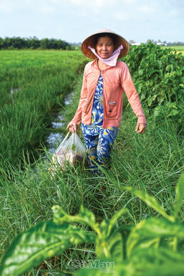 ca mau: khong ngo tu dong co nan dai dan lai huong "loc troi" ban hinh anh 3