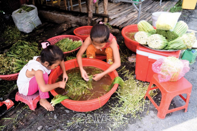 ca mau: khong ngo tu dong co nan dai dan lai huong "loc troi" ban hinh anh 7