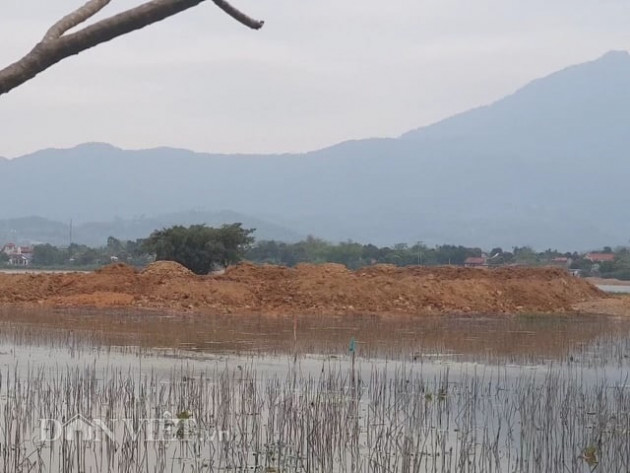 can canh du an nghin ty vuon vua dinh nghi van sai pham “khung” hinh anh 10