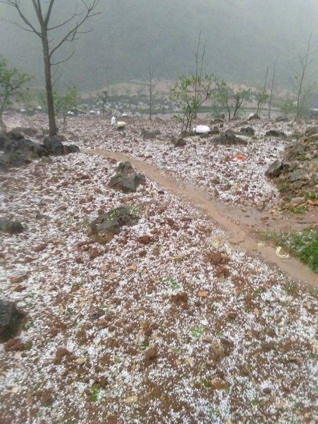 cao bang: bat ngo co mua da, kem loc xoay gay thiet hai 1,2 ty dong hinh anh 1