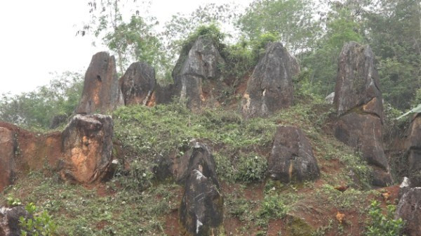 cao bang: vuon da ky la, nhieu nguoi lien tuong toi thua hong hoang hinh anh 2