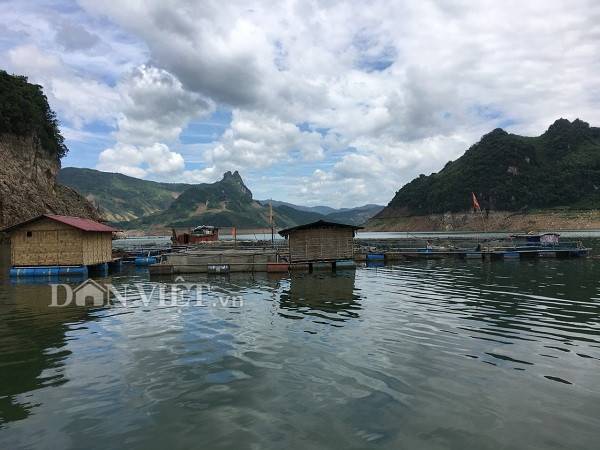 cao thu ke chuyen bat loai ca du, nganh sac nhon tren song da hinh anh 4