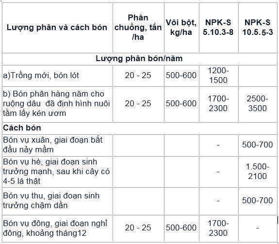 cay dau tam khoe, tot la, tam duoc an "ngon" nho "than duoc" nay hinh anh 2