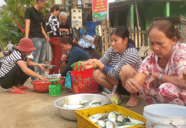 Chợ "chồm hổm" bán toàn cá ngon, muốn ăn tốn cả vài trăm ngàn