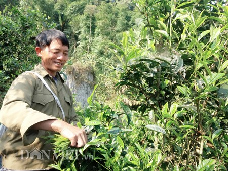 chum anh: nguoi dao mien bien ai vuot nui, leo doi hai "loc troi" hinh anh 9