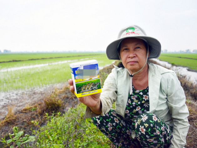 chuot can pha lua he thu, nong dan kien giang dau dau nghi ke diet hinh anh 2