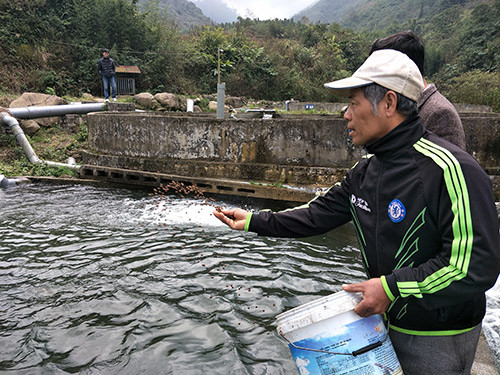 chuyen con ca "quy toc" o lao cai: ca hoi gap "han", ca tam gia cao hinh anh 1