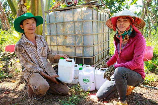 chuyen la: vuon sau rieng co moc um tum, dung kien bat nhen hinh anh 5