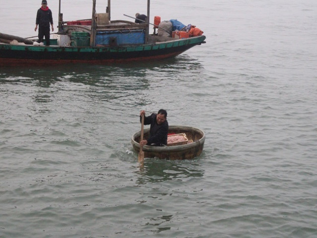 clip: sau tet, ngu dan ha tinh co tien trieu/ngay nho “loc bien” hinh anh 2