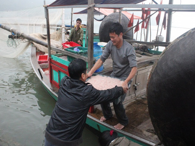 clip: sau tet, ngu dan ha tinh co tien trieu/ngay nho “loc bien” hinh anh 3