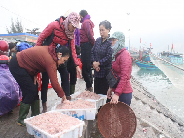 clip: sau tet, ngu dan ha tinh co tien trieu/ngay nho “loc bien” hinh anh 7