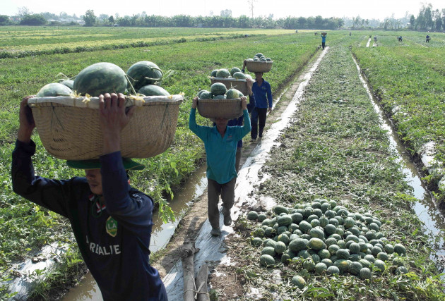 cua khau tan thanh mo, chi hang hoa co hop dong duoc thong quan hinh anh 2