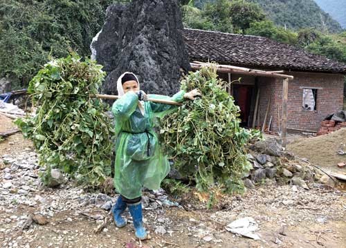 dai dang “cuoc chien” giam ngheo: co nguoi khong muon...thoat ngheo hinh anh 2