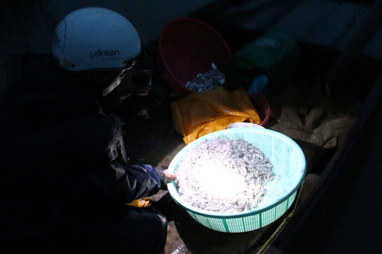 dak lak: ra ho menh mong bat ca ngon, co ca bong mu nang 2,5kg hinh anh 2