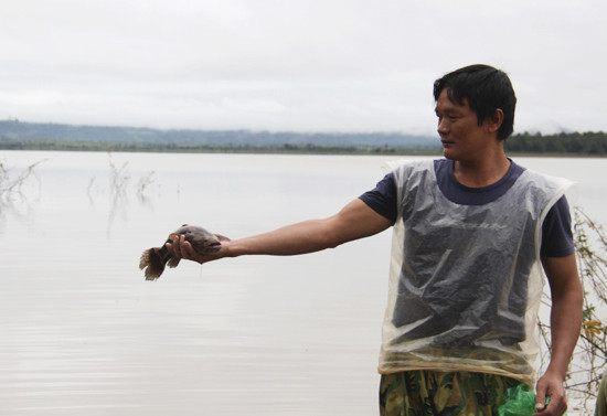 dak lak: ra ho menh mong bat ca ngon, co ca bong mu nang 2,5kg hinh anh 6