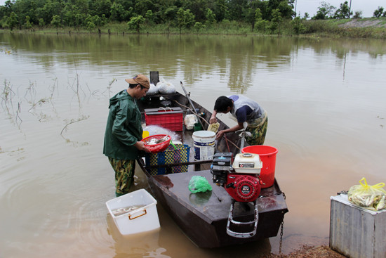 dak lak: ra ho menh mong bat ca ngon, co ca bong mu nang 2,5kg hinh anh 7