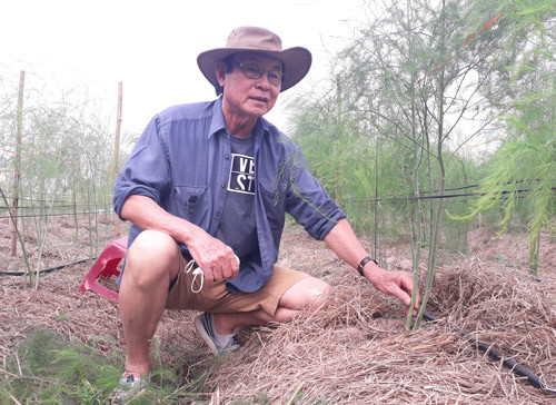 Dân Sài thành "thuần phục rau vua", cứ 1 ngày bán 10 ký thu 1 triệu