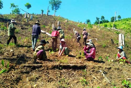 dat nong lam truong: dung dau cung thay tranh chap, phuc tap hinh anh 1