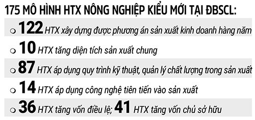 dau an cua hop tac xa kieu moi hinh anh 2