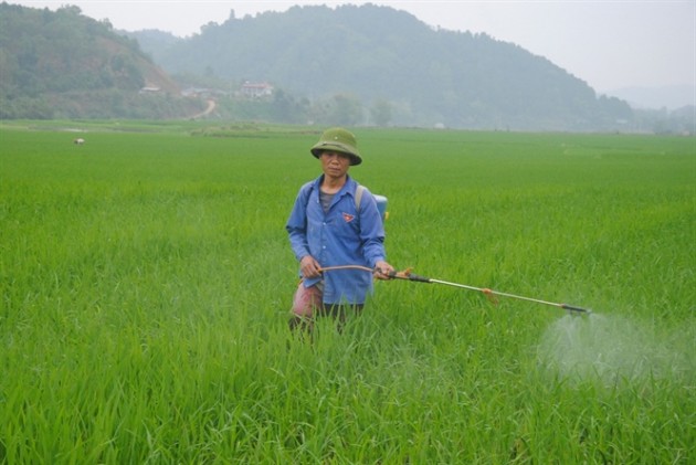 dau long chuyen giai the hang loat hop tac xa song ma nhu "chet" hinh anh 3