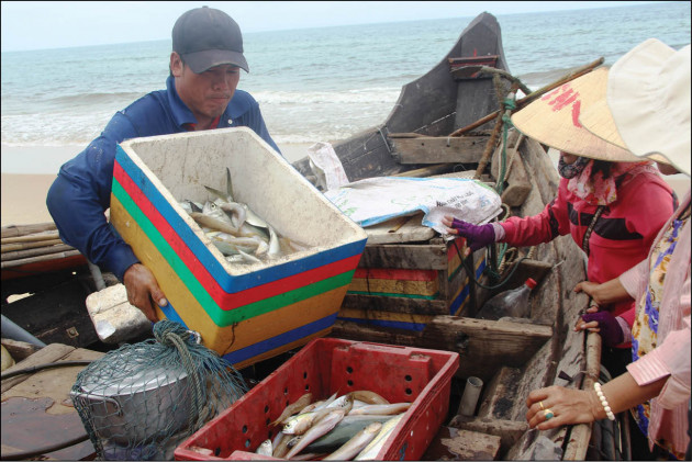 dau nam dan ra bien bat toan ca ngon, co loai ca ban 200 ngan/ky hinh anh 1